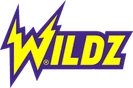 Wildzy logo